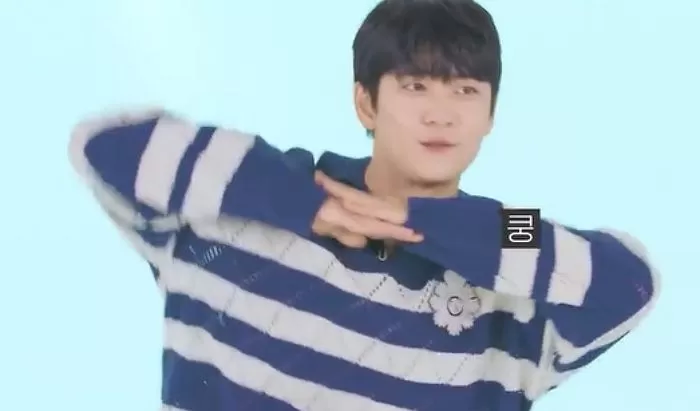 인사이트