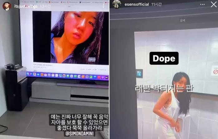 인사이트