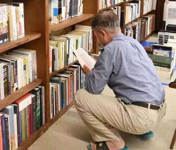 인사이트