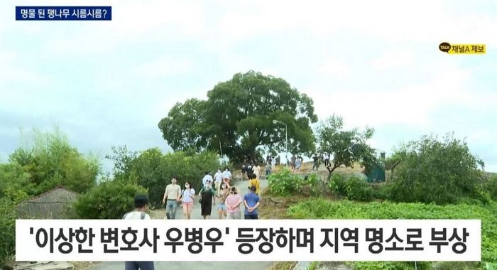 “이상한 변호사 우병우”...채널A 뉴스 생방송 중 포착된 ‘자막 실수’ 해프닝