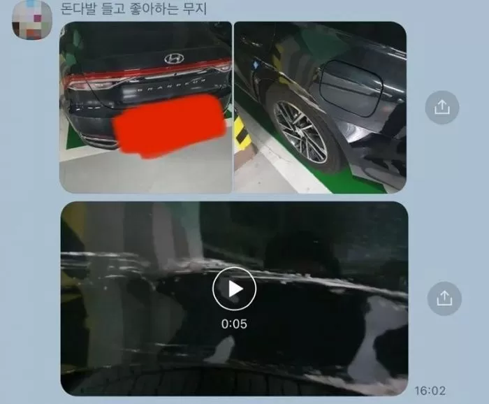 인사이트