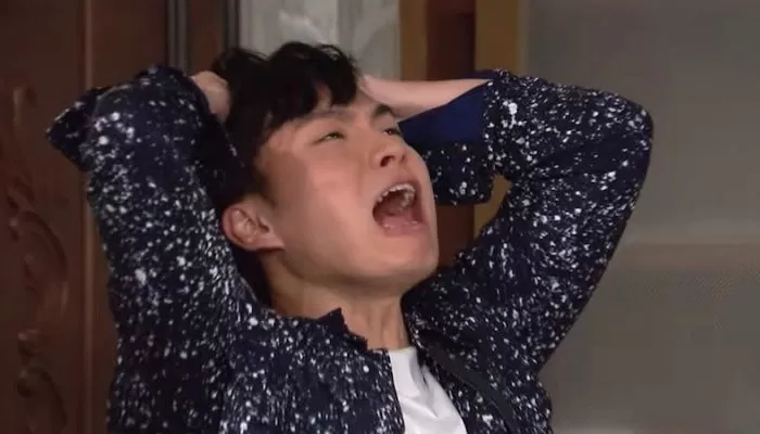 인사이트