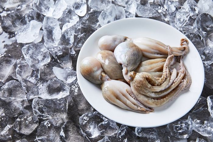 “악 이게 무슨 냄새야”...동네 주민들 밥도 못 먹게 만든 비릿한 ‘악취’의 정체