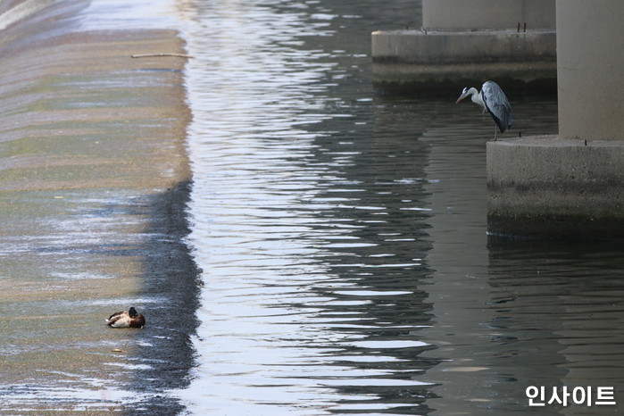 김포 한강 하구에서 ‘신원미상’ 여성 시신 1구 떠올랐다