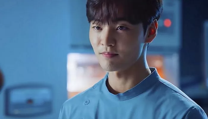 인사이트