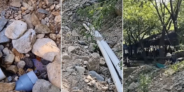 계곡에 ‘김치국물’ 줄줄 흘려보내는 호스 따라간 시민이 발견한 충격 현장 (영상)