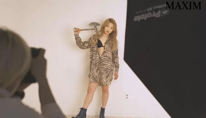 인사이트