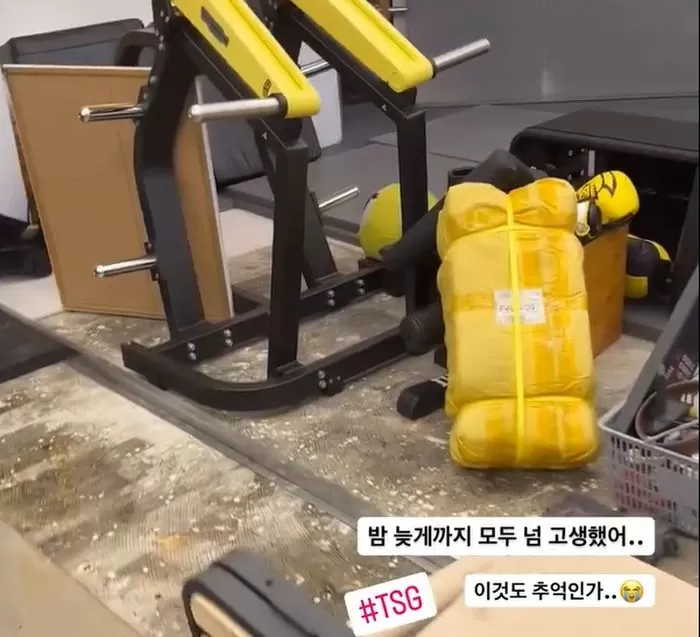 인사이트