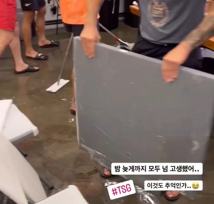 인사이트