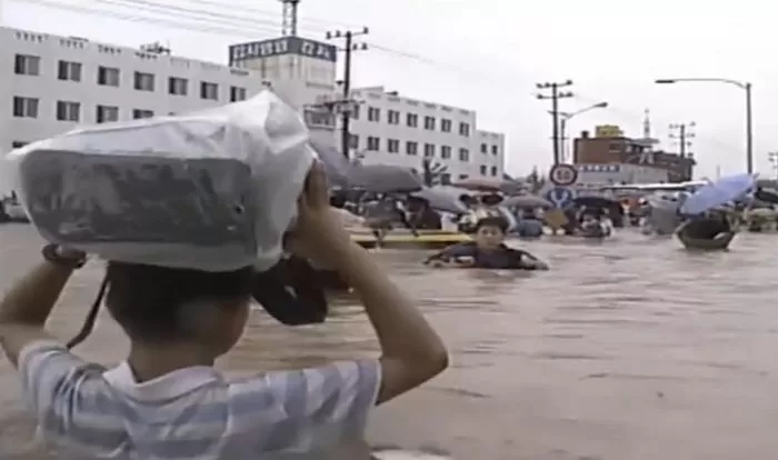인사이트