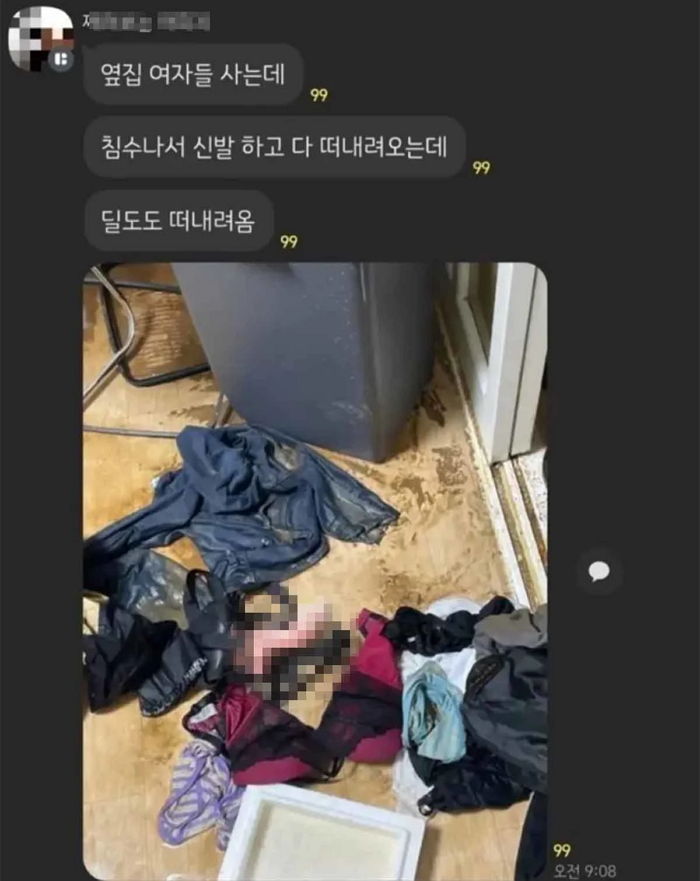 “집 침수됐는데 옆집 혼자 사는 여자 집에서 ‘OOO’가 떠내려왔습니다”