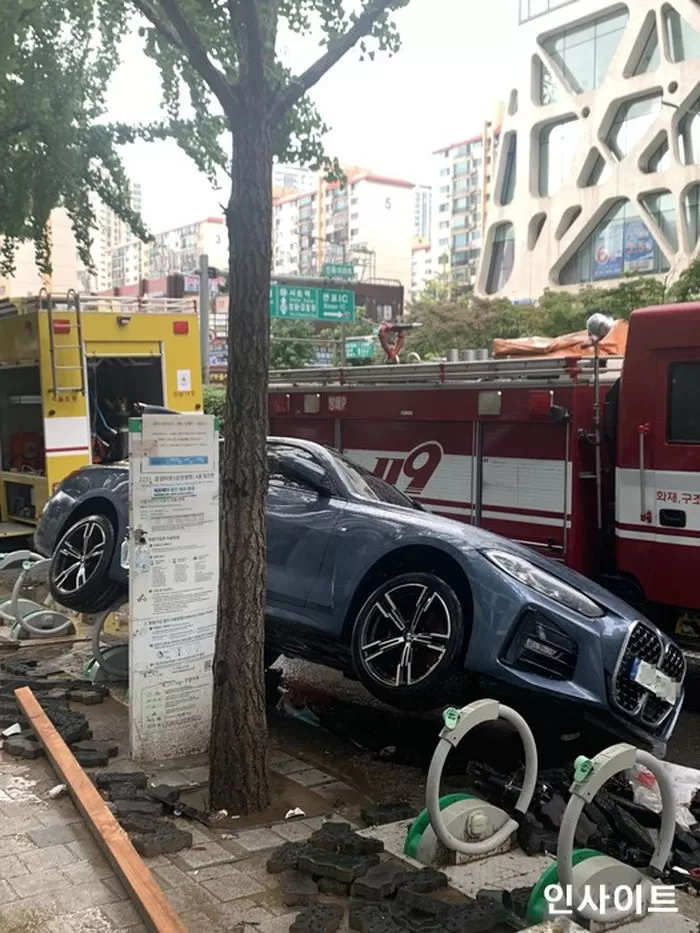 인사이트