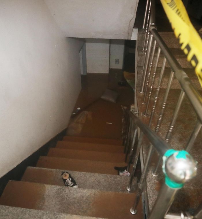 고양이 구해야 한다며 침수된 집으로 다시 돌아간 여성 끝내 사망