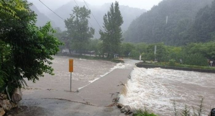 폭우에 강릉 캠핑장 인근 다리 침수...야영객 95명 고립