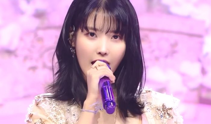 아이유 소속사, 콘서트 부정 티켓팅한 팬들 박제+영구제명