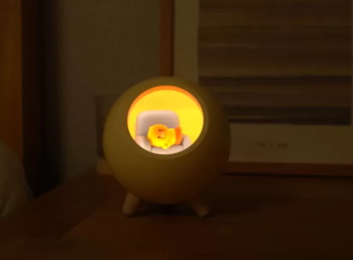 인사이트