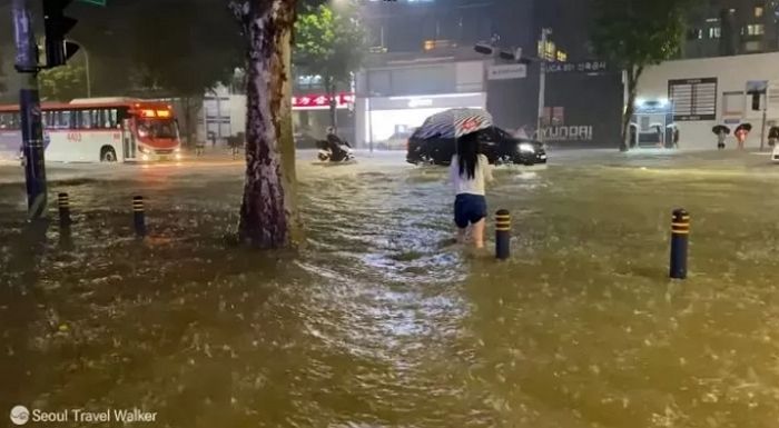 “월세집 ‘침수 피해’ 당했는데 집 수리는 누가 해주나요?”