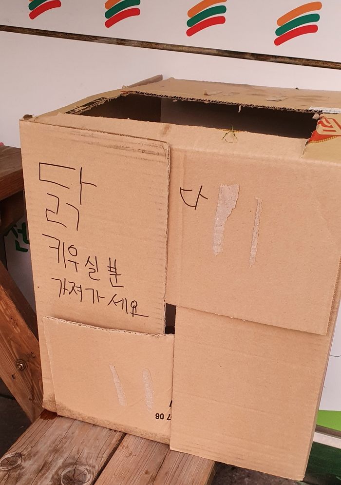 “편의점 앞에서 주인에 버림받은 ‘유기닭’을 발견했습니다”