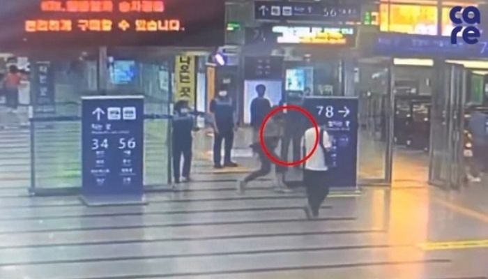 포메라니안 가방에 넣고 패대기친 남성에게 이틀 만에 강아지 돌려준 수원시청