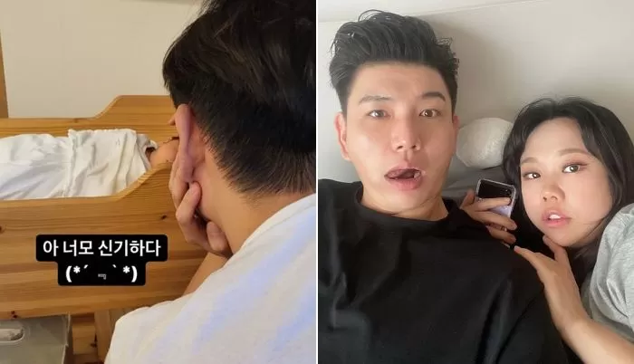인사이트