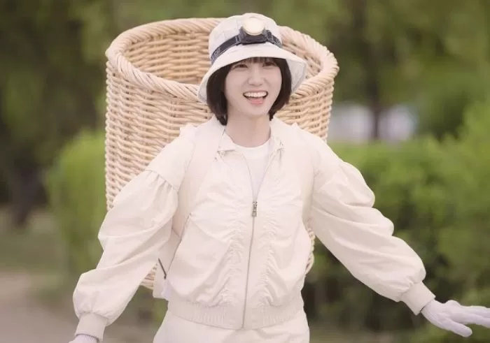 인사이트