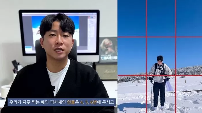 인사이트