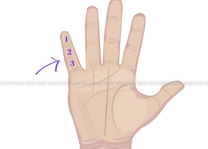 지금 새끼손가락 보고 ‘첫째 마디’가 가장 길면 당신은 이성에게 매력 만점인 ‘인기쟁이’다