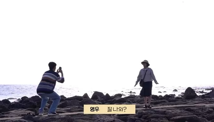 인사이트