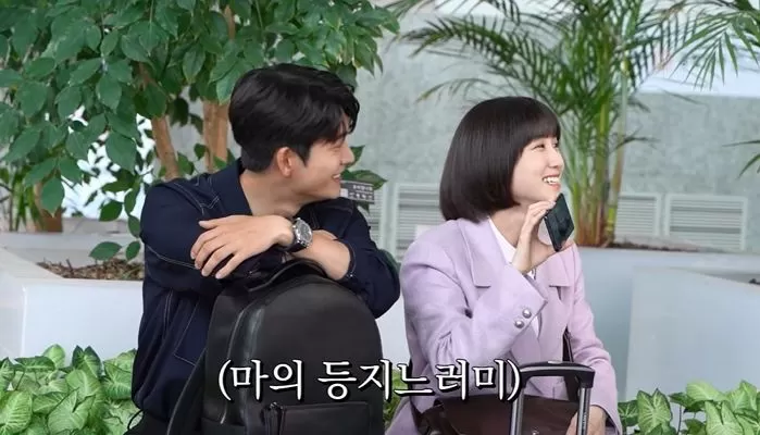 인사이트