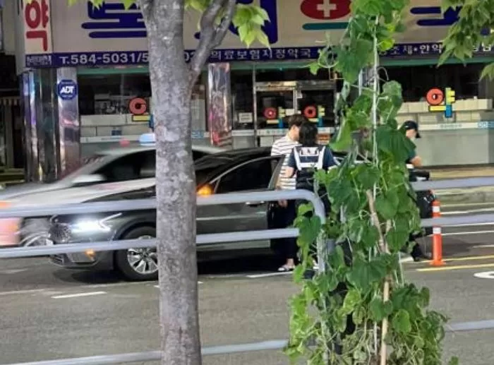 인사이트