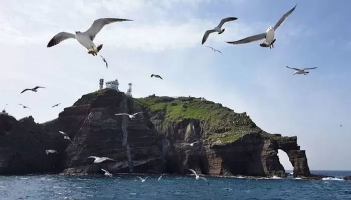 애플 시리에 “독도 누구 땅이냐” 물었더니 한국인들 분노할 대답 나왔다