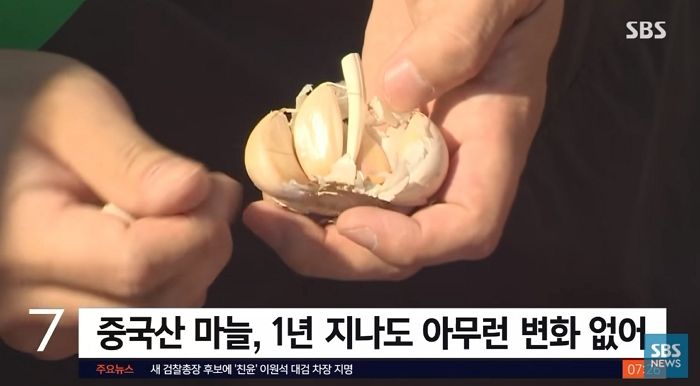 “중국산 마늘, 1년 지나도 안 썩는다”...정부 조사 촉구