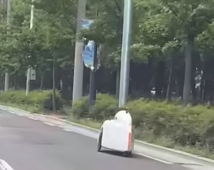 가격 검색했더니 1,500만원...대구 길거리에 출몰한 미확인(?) 물체의 정체