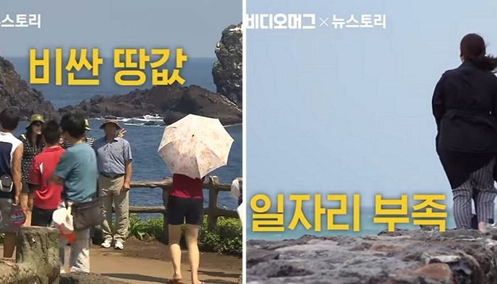 ‘제주 살이’하러 간 청년들이 포기하고 돌아오는 슬픈 이유 (영상)