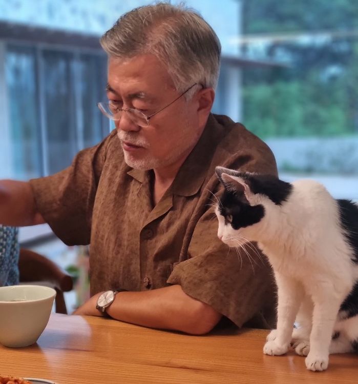 “한국판 고양이와 할아버지”...文 전 대통령 딸 다혜씨가 올린 사진