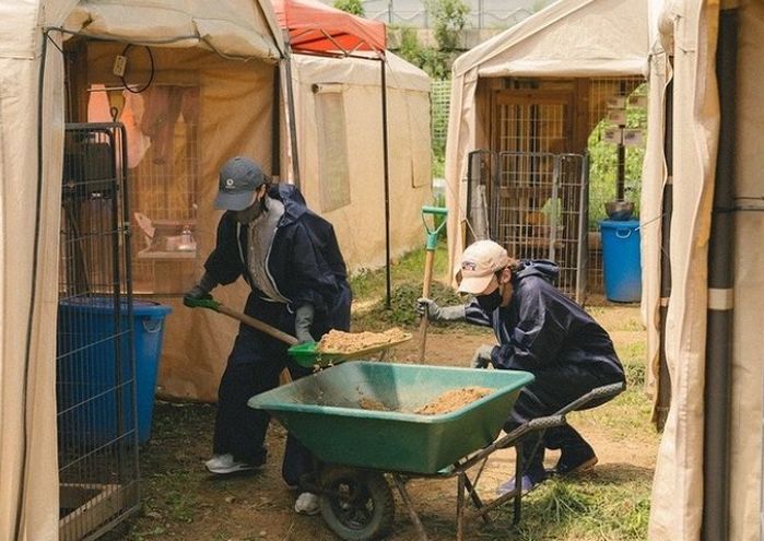 6살 연하 남편과 결혼한 장나라, 체감온도 33도 ‘불지옥 더위’에도 유기견 봉사