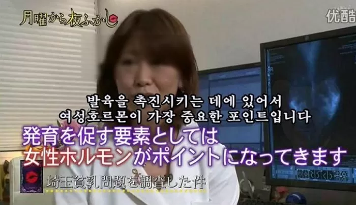 인사이트