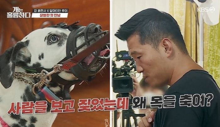 공격성 심한 문제견 바꿔준 강형욱에 “너무 감사하다”며 무릎 꿇은 견주