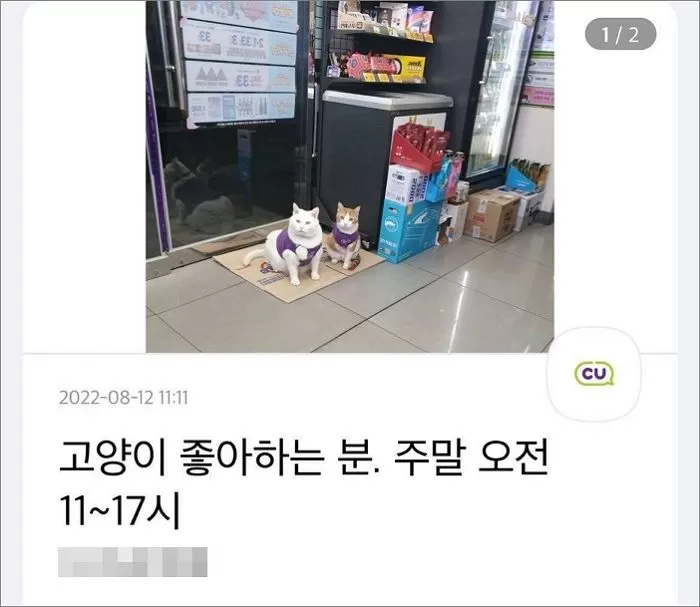 인사이트