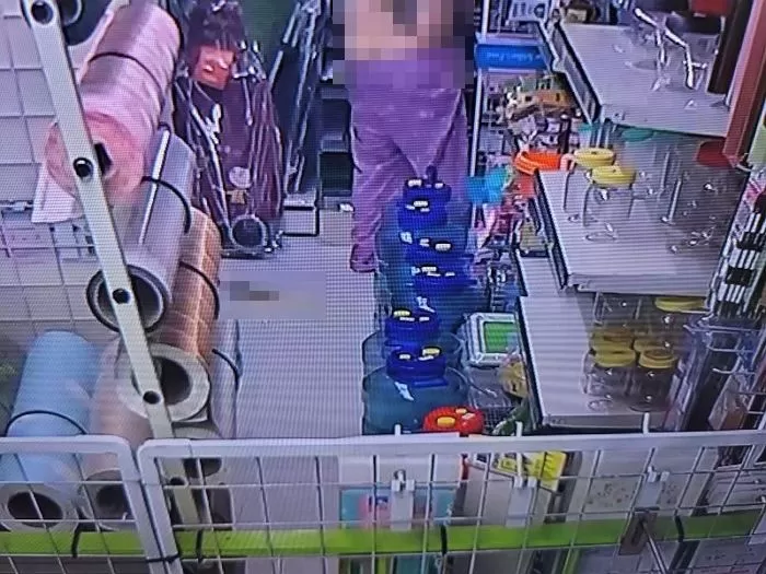 인사이트