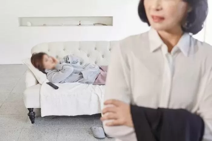 인사이트