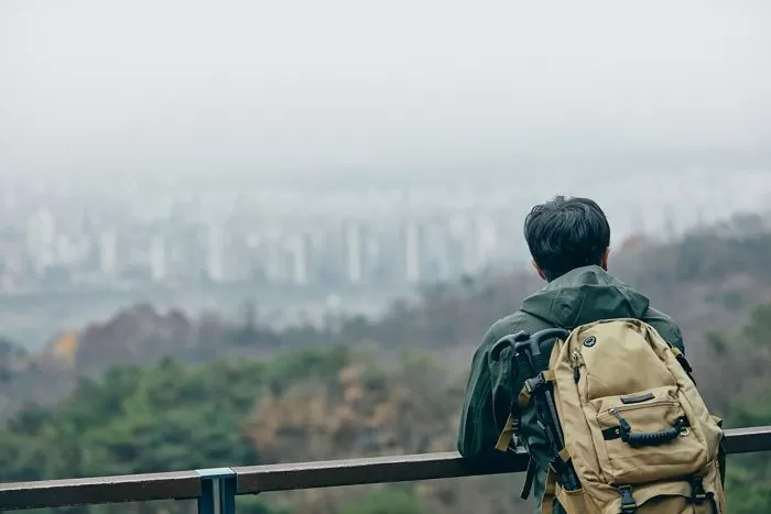 인사이트