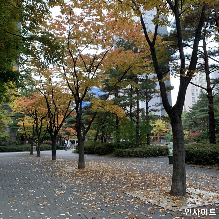 이번 주말부터 선선한 가을 날씨...아침 최저 15도로 쌀쌀