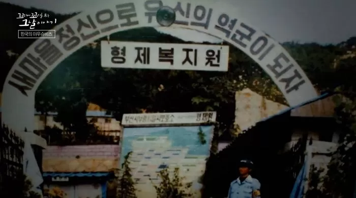 인사이트