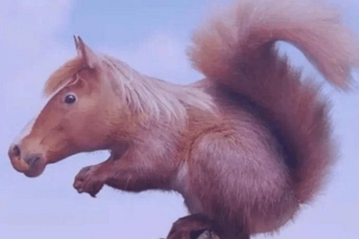 지금 이 그림에서 ‘다람쥐 vs 말 vs 멧돼지’ 중 가장 먼저 보이는 동물은? (성격 테스트)