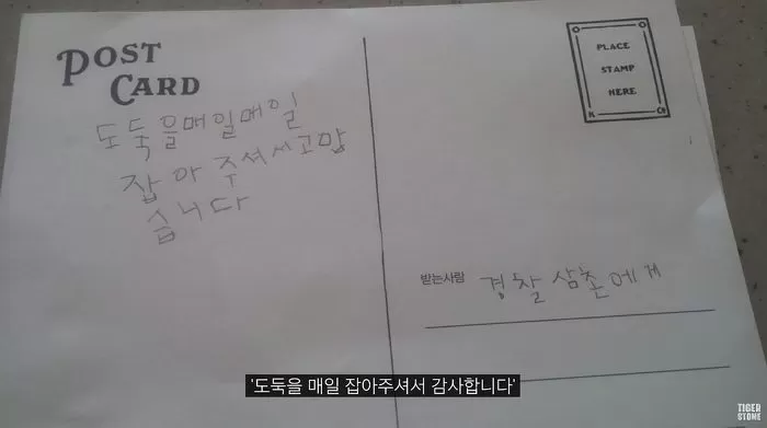 인사이트