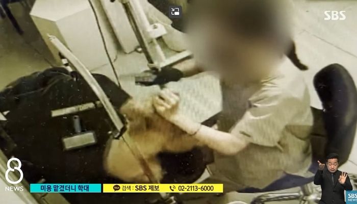 미용 다녀오고 건강 악화된 강아지...CCTV 돌려보니 미용사가 ‘주먹질’ (영상)