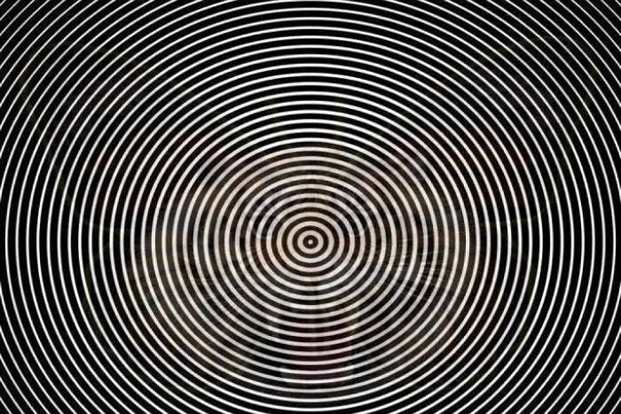 다음 착시 그림에 숨겨진 ‘동물’은 무엇일까요? (성격 테스트)