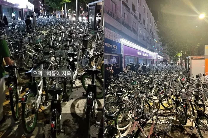 인사이트