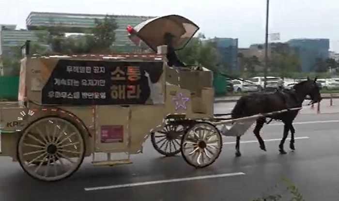성남 판교 도로 한복판에 ‘마차’ 끄는 말 나타나...도대체 무슨 일